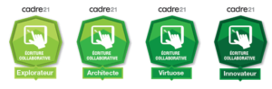 4-niveaux-badges-competences-Cadre21