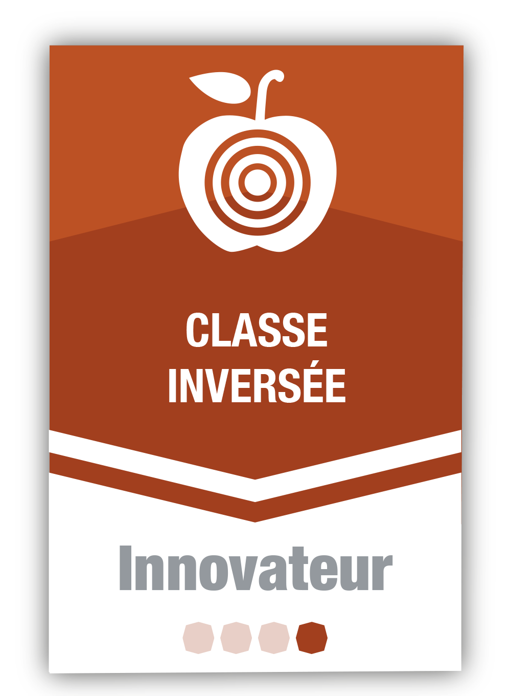 Classe inversée 4 - Innovateur