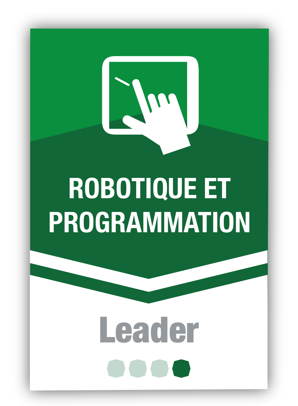 Robotique et programmation 4 – Leader