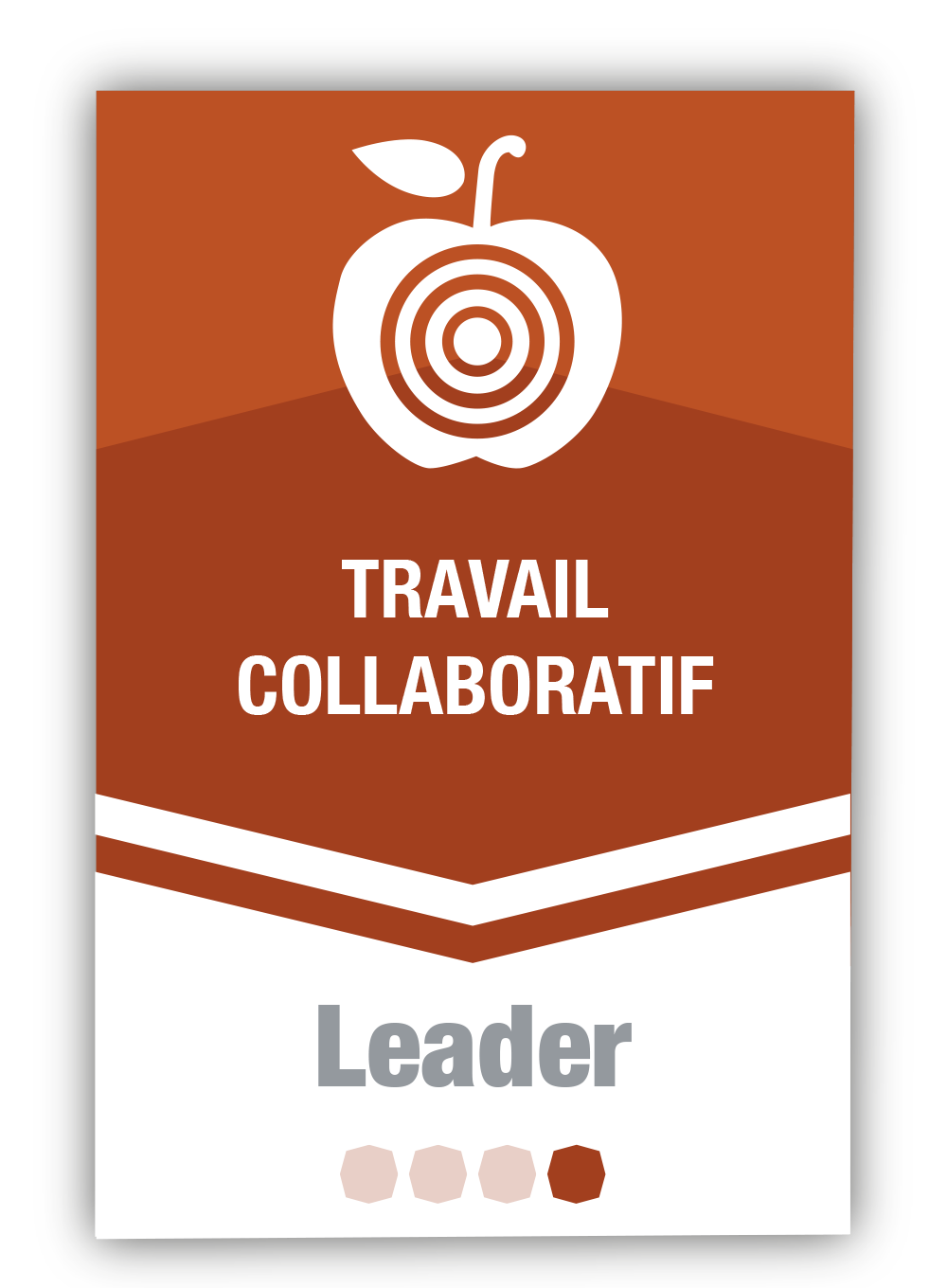 Travail collaboratif 4 - Leader