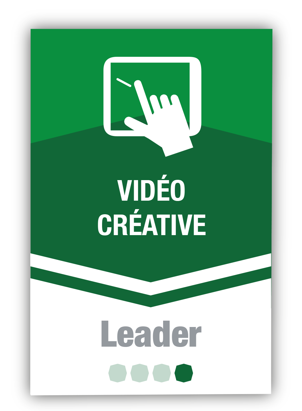 Vidéo créative 4 – Leader