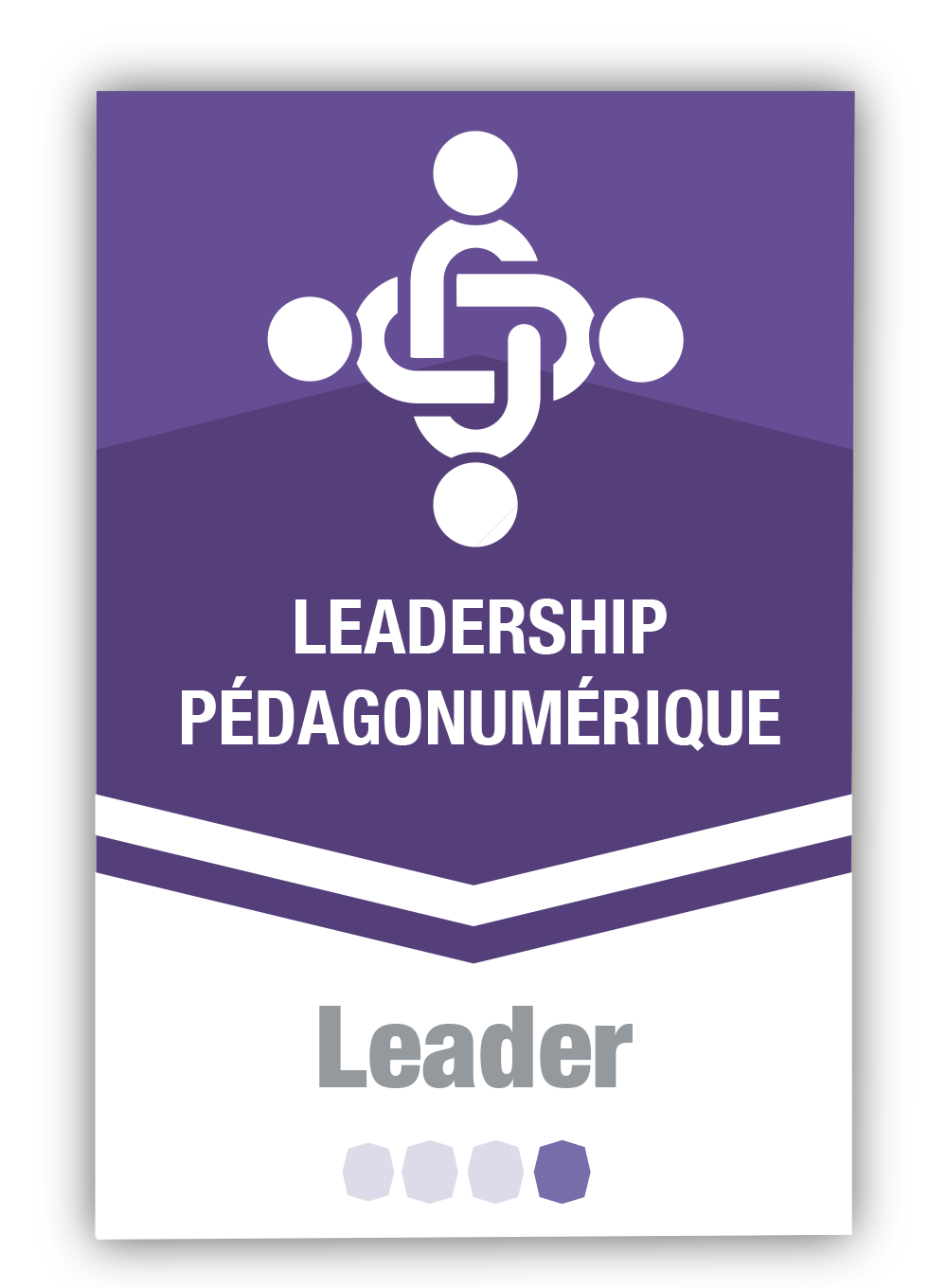 Leadership pédagonumérique 4 - Leader