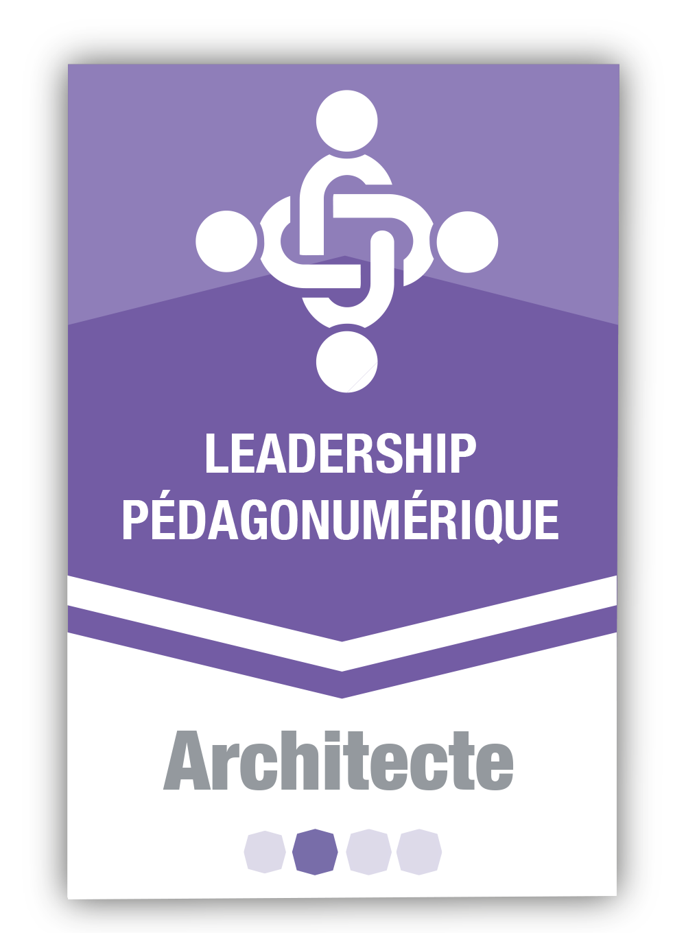 Leadership pédagonumérique 2 - Architecte