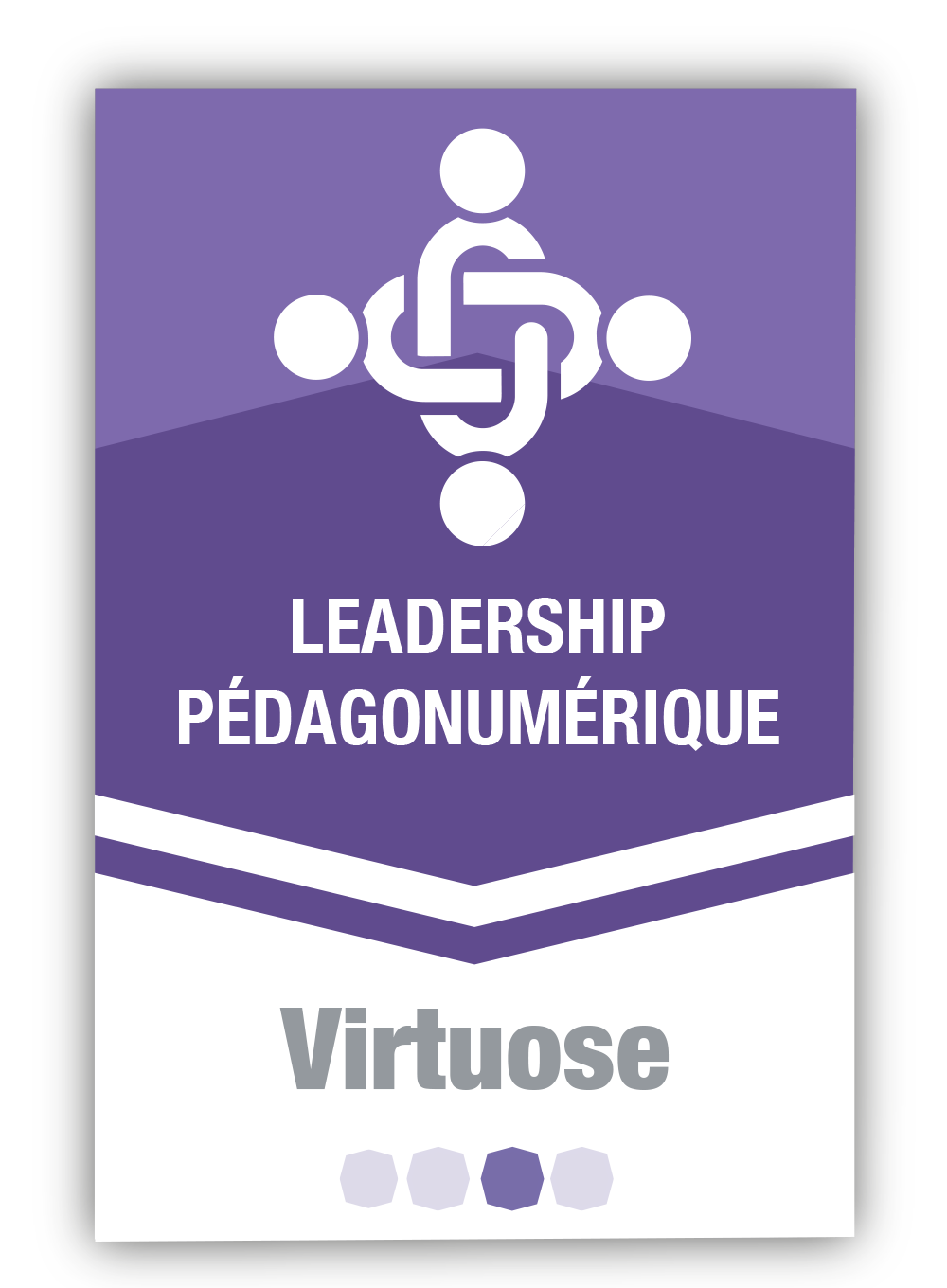 Leadership pédagonumérique 3 - Virtuose